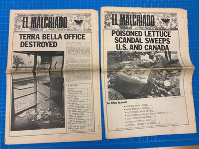 Thumbnail image for elmalcriado.JPG